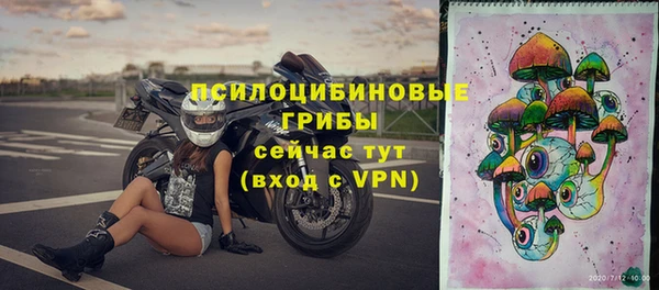 дживик Горнозаводск