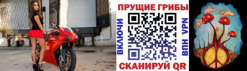 Галлюциногенные грибы Magic Shrooms  Купить где  Надым 